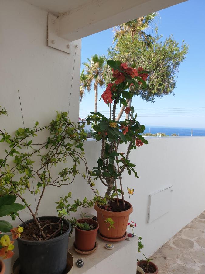 Ikaria Village-Ground Floor Apartment No 4 Klorakas Eksteriør billede