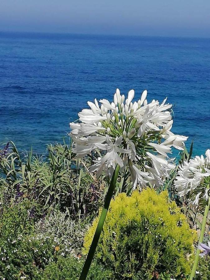 Ikaria Village-Ground Floor Apartment No 4 Klorakas Eksteriør billede